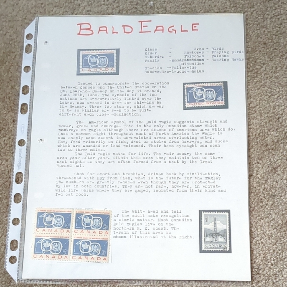 Bald Eagle Home Design Stamp Set